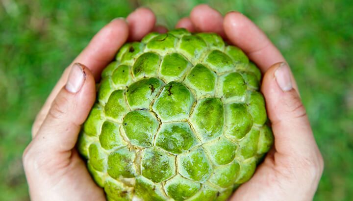 Reasons to eat guanabana