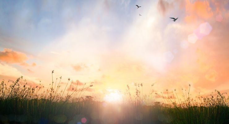 AdobeStock 184689163 2